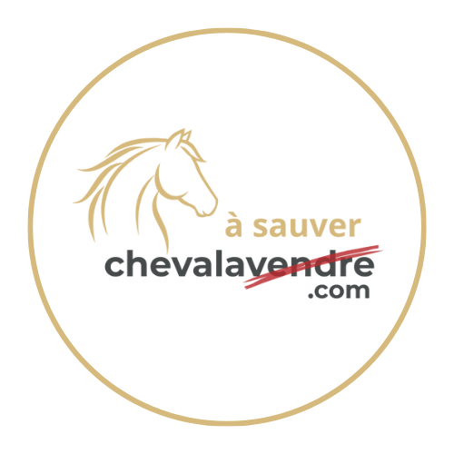 Cheval à vendre
